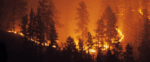 Eastern Regional Firewise Coalition Meeting | First Tuesday of Every Month