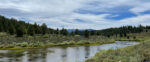 River Talk with the Truckee River Watershed Council
