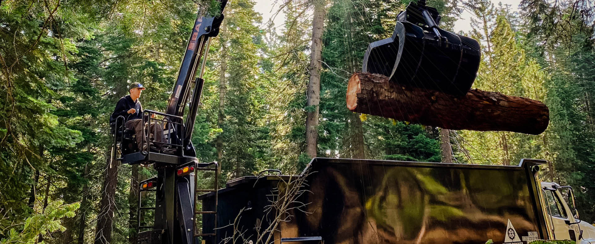 2024 Summer Hiring Campaign Web 1920x790-Forestry image