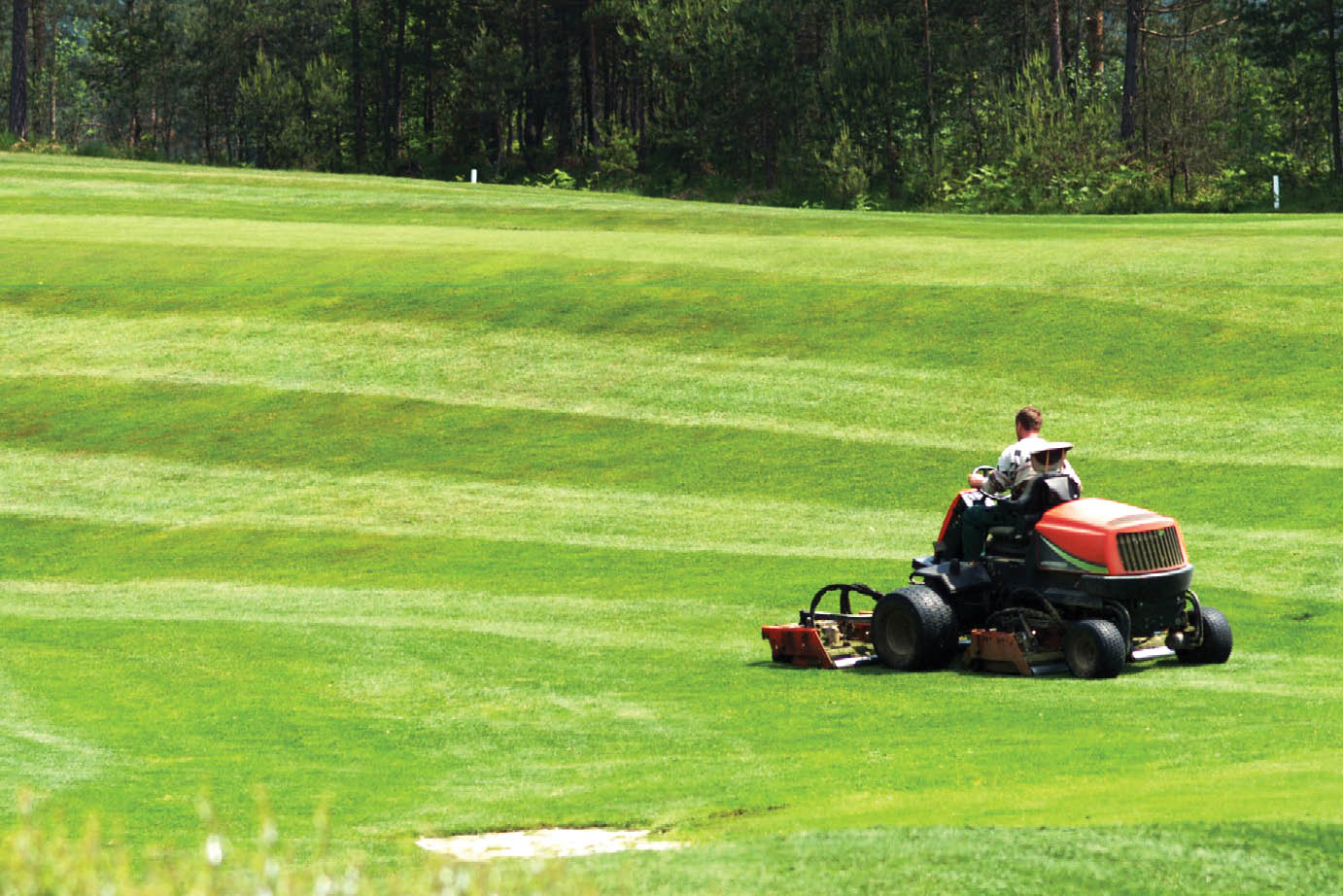2024 Summer Hiring Campaign Web Mobile 1382x922-GolfMaintenance image