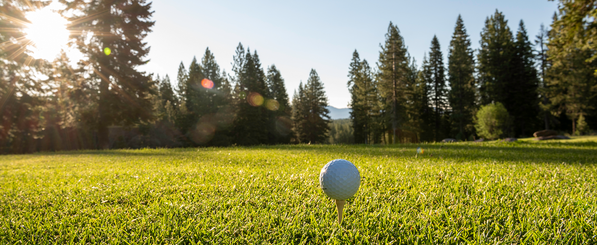 A golf ball sitting on a tee at the Tahoe Donner Golf Course